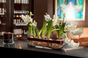 Spa reception