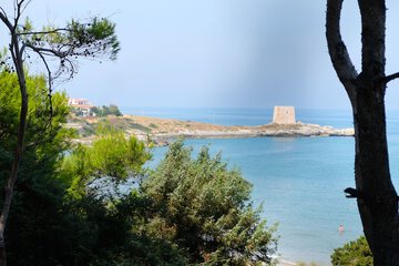 Beach/ocean view