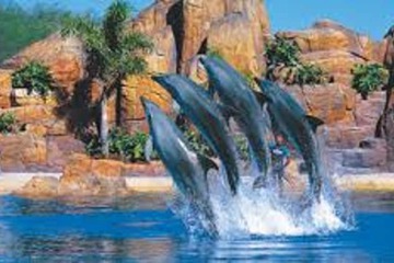 Children's activities