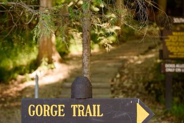 Outdoor Activities 114 of 116