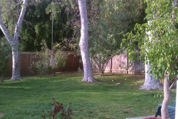 Photo 33