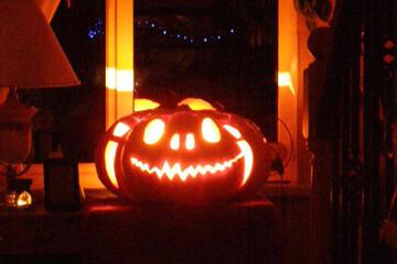 Photo 46