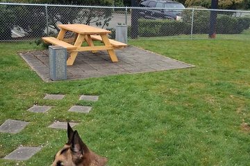 Pet-friendly amenities