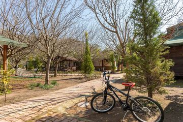 Bicycling