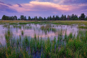 Land view from property
