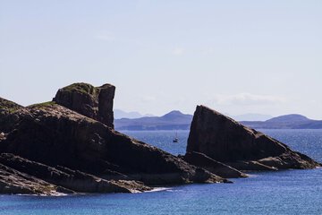 Photo 41