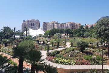 Garden view
