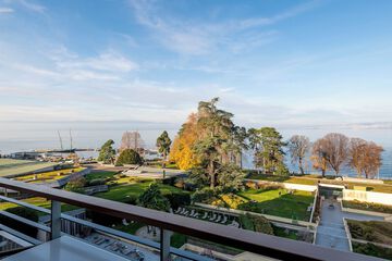 Lake view
