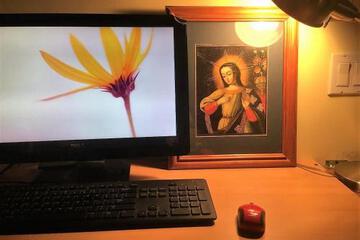 Photo 6