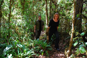 Hiking