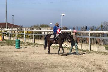 Horseback riding