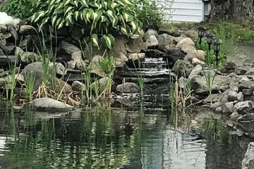 Photo 27