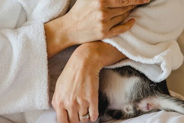Pet-friendly