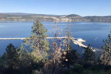 Lake view