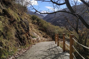 Hiking