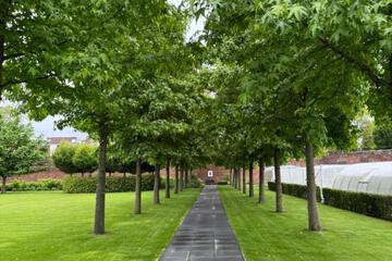 Photo 44