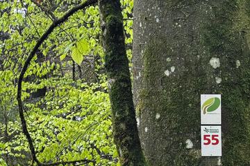 Hiking