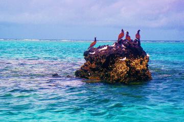 Ecotours