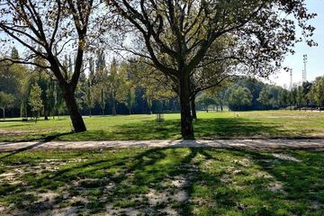 Park view