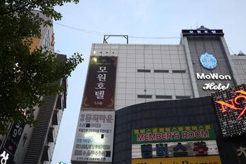 Photo 42