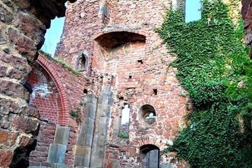 Photo 33