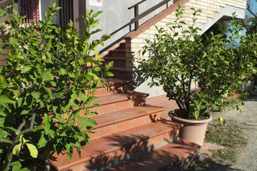 outside