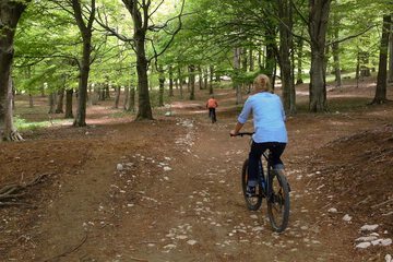 Bicycling