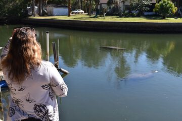 Property Grounds 32 of 33