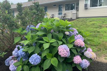 Property Grounds 31 of 39