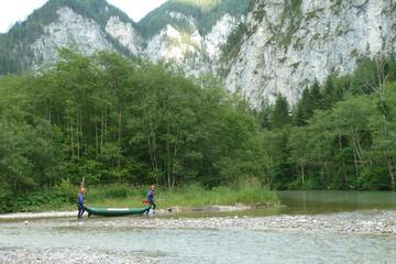 Photo 46