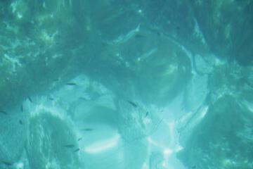 Photo 81
