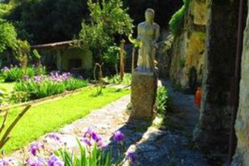 Terrace or Patio