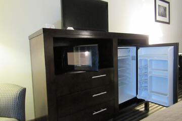 Mini-refrigerator