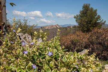 Land view from property