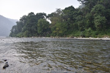 Lake view
