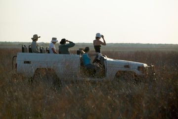 Game drive