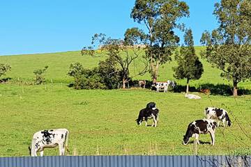 Land view from property