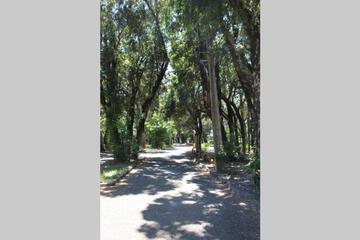 Photo 34