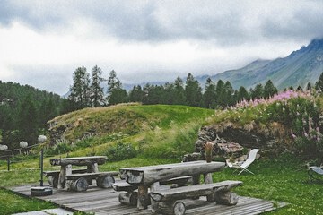 BBQ/picnic area