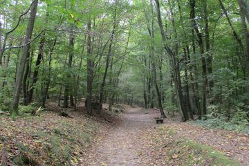Hiking