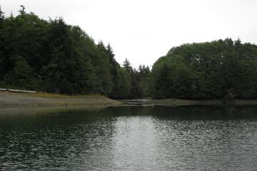 Photo 33