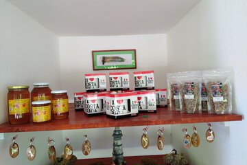 Gift shop