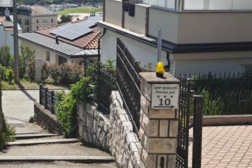 Photo 41