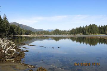 Photo 75