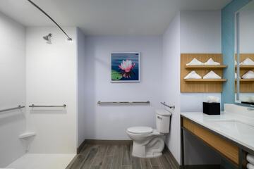 Bathroom shower