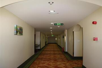 Photo 24