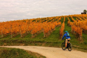 Bicycling