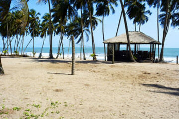 Beach or Ocean View