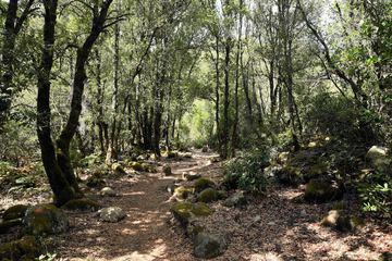 Hiking