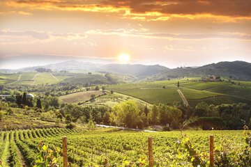 Winery